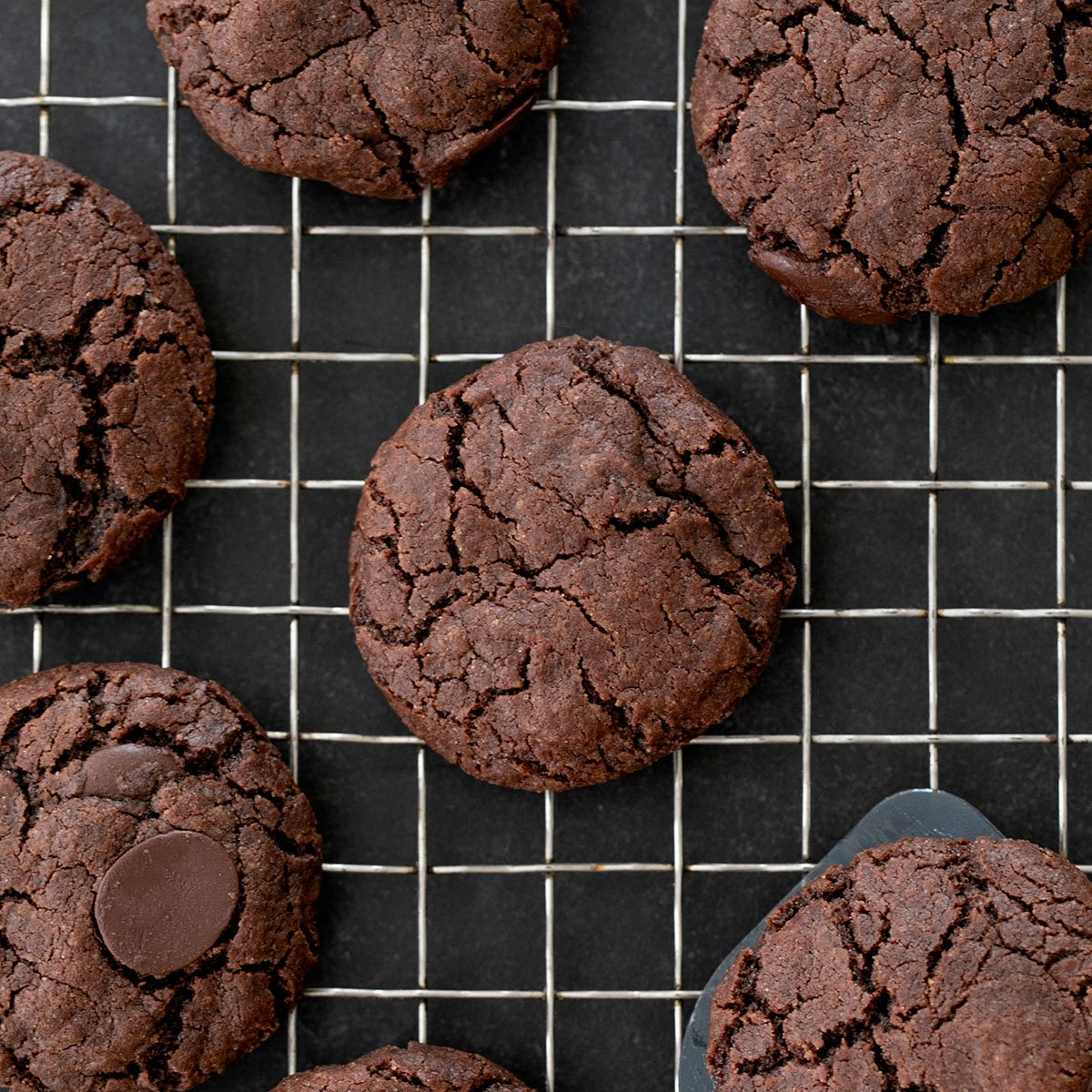 Gluten Free Chocolate Cookies